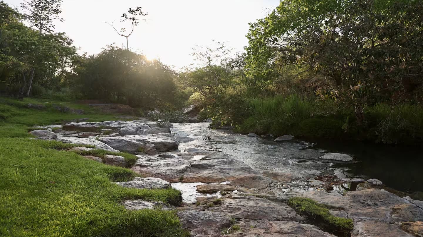Celestial River Sanctuary – La Vaquita - Gallery 12