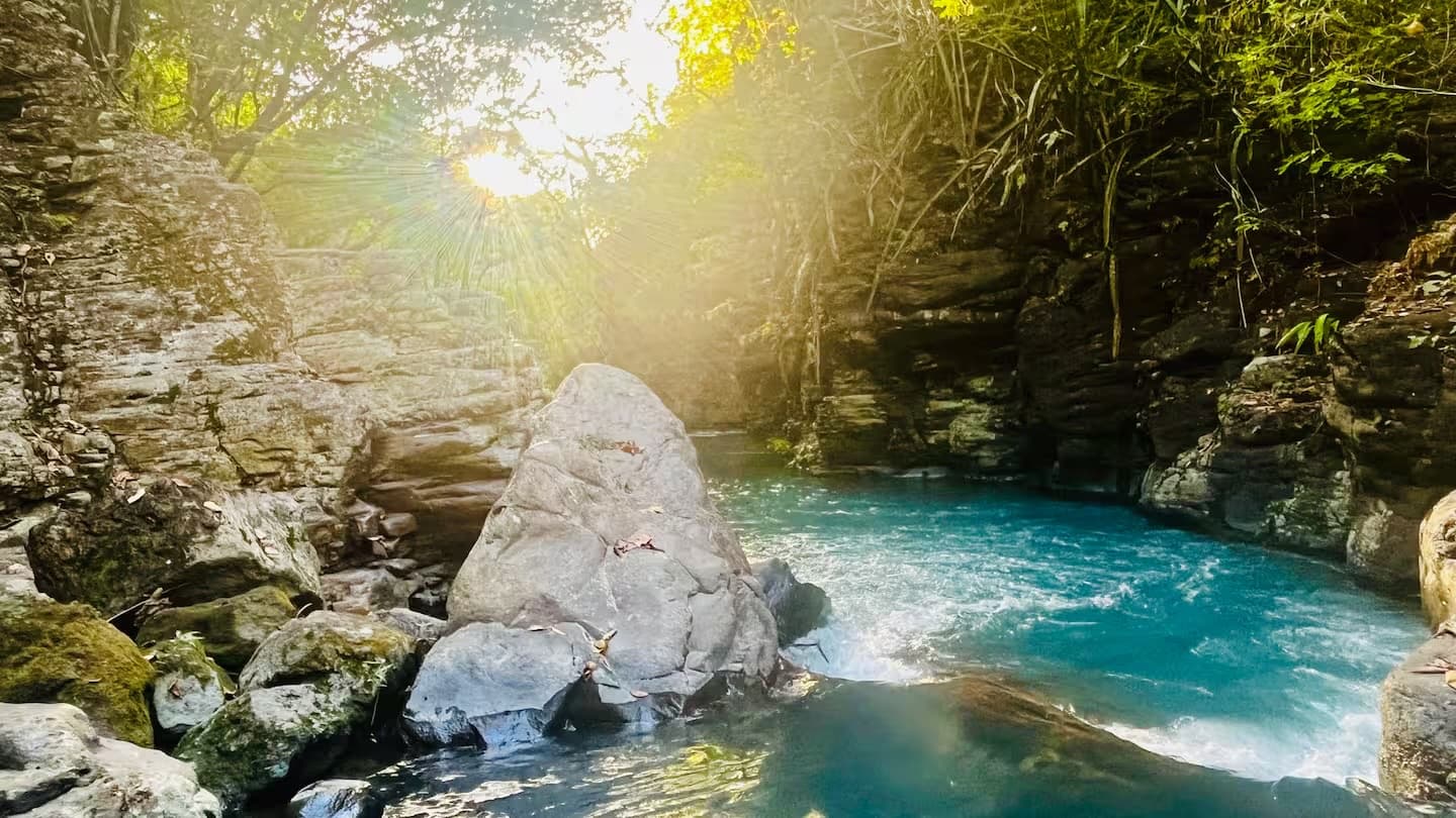 Celestial River Sanctuary – La Vaquita - Gallery 14